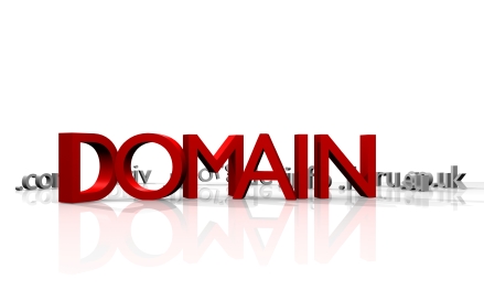 Mua domain cũ có tuổi đời cao